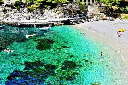 Santa Barbara Mljet Apartment Babino Polje Kültér fotó